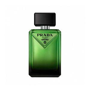 Paradigm EdP