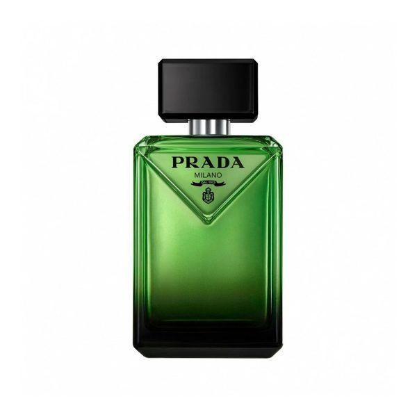Paradigm EdP